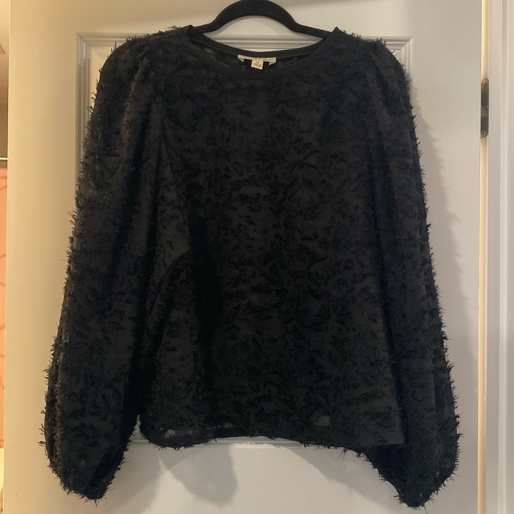 Sheer Balloon Sleeve Black Blouse